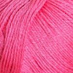 28027 Coral