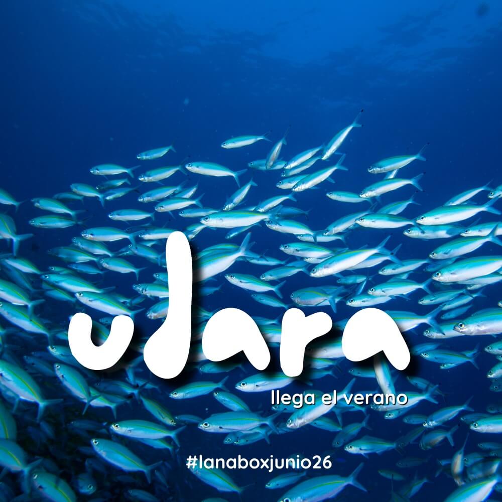 LAnabox junio 26(1)